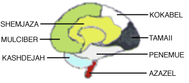 The Brain
