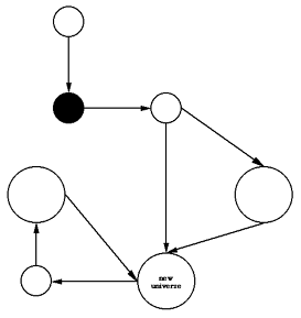 thumbnail diagram of Lee Smolin's theory of 
	cosmological natural selection